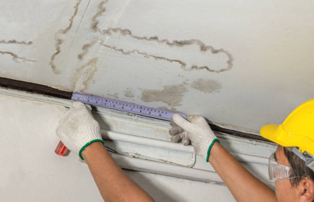 Reliable Water Damage contractor in Pinehurst, MA by Water Damage Irwin